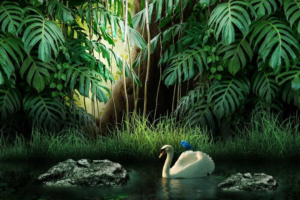 Wallpaper design SW-562 from Nature & Botanicals